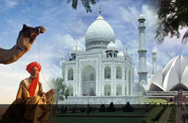 tour package india